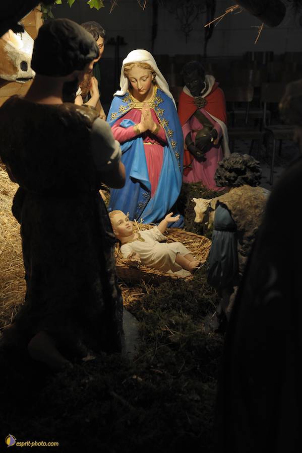 Nom de l'image : D30043065_1_(c)Norbert-JUNG — Description :